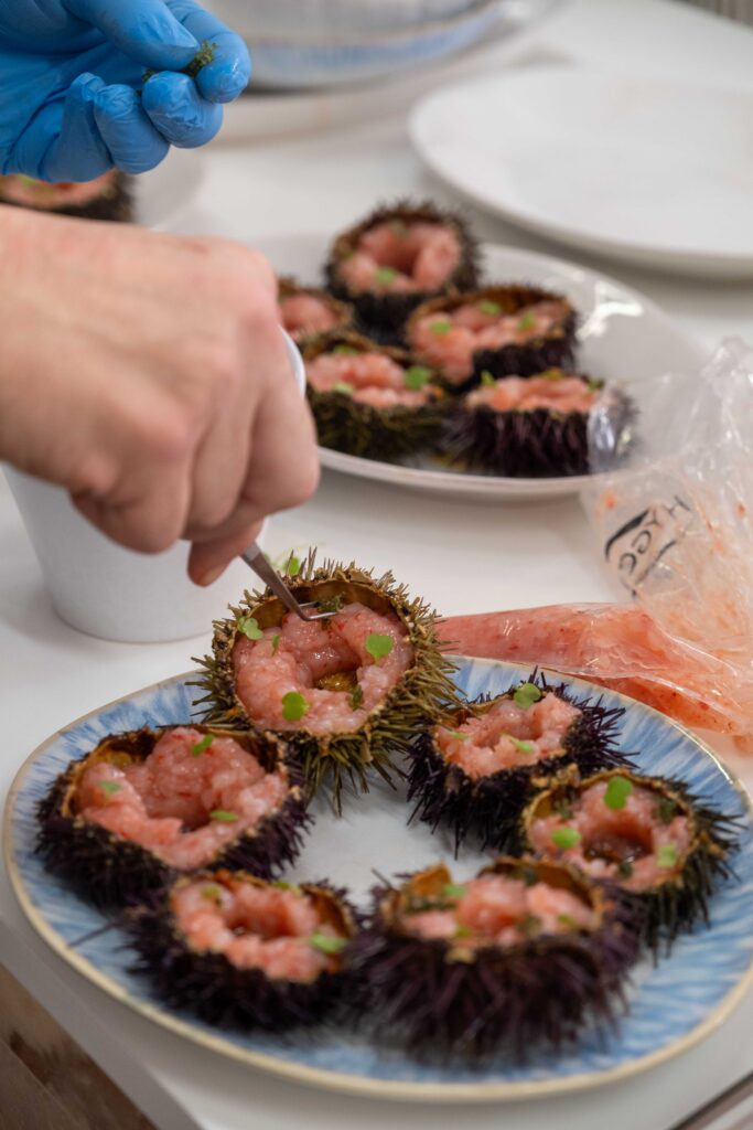 Festival do Ouriço 2025